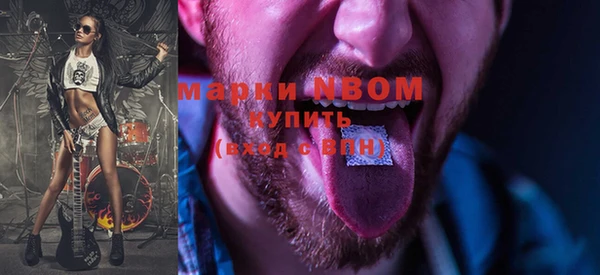 МДПВ Бикин